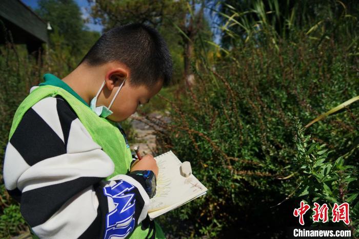 圖為小朋友在青海西寧湟水國(guó)家濕地公園內(nèi)認(rèn)識(shí)植物并進(jìn)行繪畫(huà)?！●R銘言 攝