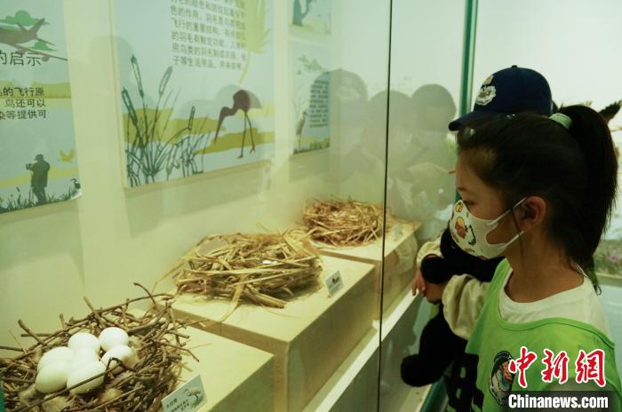 圖為小朋友在青海西寧湟水國(guó)家濕地公園科普館內(nèi)參觀學(xué)習(xí)。　馬銘言 攝