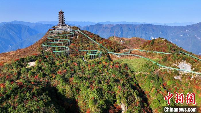 巴山大峽谷彩林迎來(lái)最佳觀賞期?！∫κ?攝