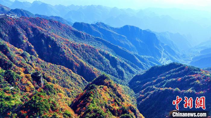 巴山大峽谷彩林迎來(lái)最佳觀賞期?！埰?攝