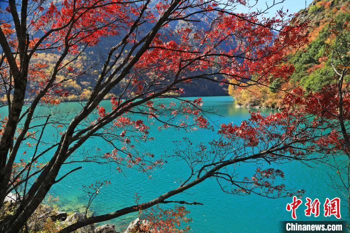 松坪溝風(fēng)光。　何清海 攝