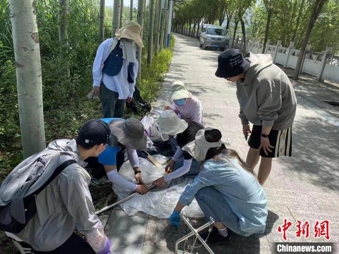 圖為科研人員正在進行監(jiān)測?！∥鲗庝宜畤覞竦毓珗@供圖