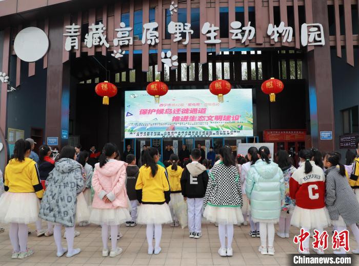 圖為青海省西寧市開展第42屆“愛鳥周”科普宣傳活動?！●R銘言 攝