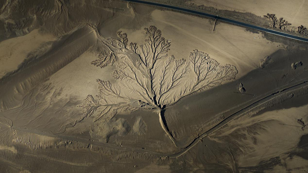 無(wú)人機(jī)視角下的西藏阿里地區(qū)改則縣“大地之樹(shù)”景觀。尼瑪多吉攝