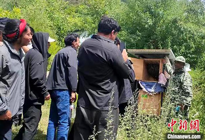 拉久西村村民學(xué)習(xí)養(yǎng)蜂工作流程和防范事項(xiàng)?！〔际忻⒖悼h委宣傳部供圖