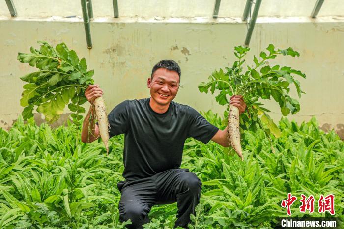 西藏阿里門士邊境派出所民警兼職大棚種植、豐富牧民餐桌