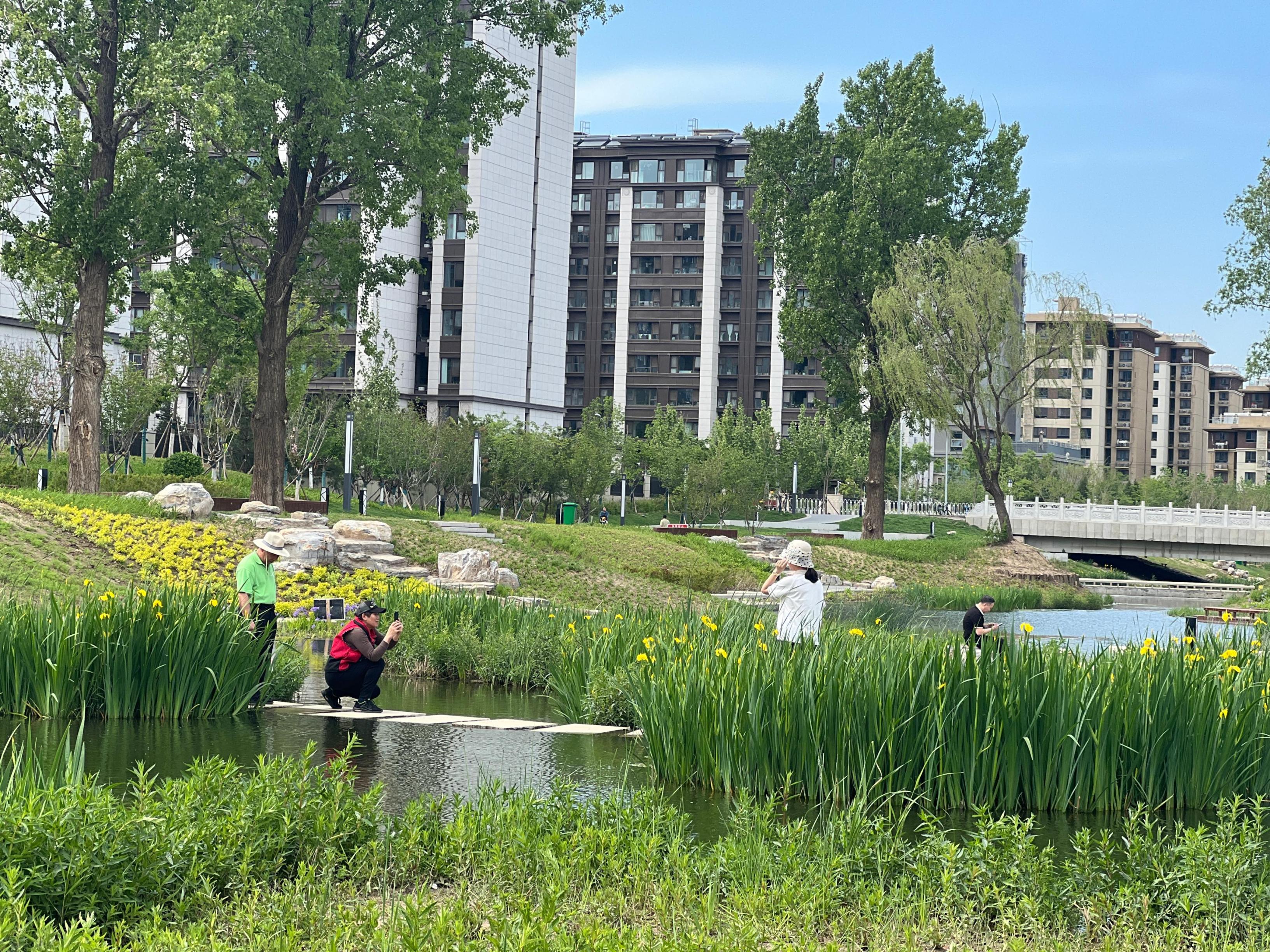 五一渠生態(tài)濱河公園內(nèi)，市民正在拍照留念。人民網(wǎng) 歐陽易佳攝