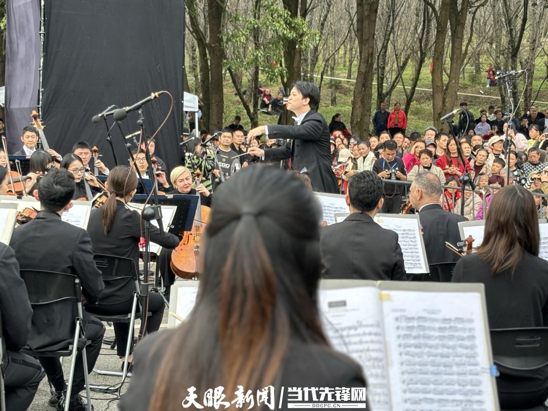 貴陽(yáng)路邊音樂會(huì)·貴安櫻花園專場(chǎng)交響樂現(xiàn)場(chǎng)。丁亞 文丹 攝