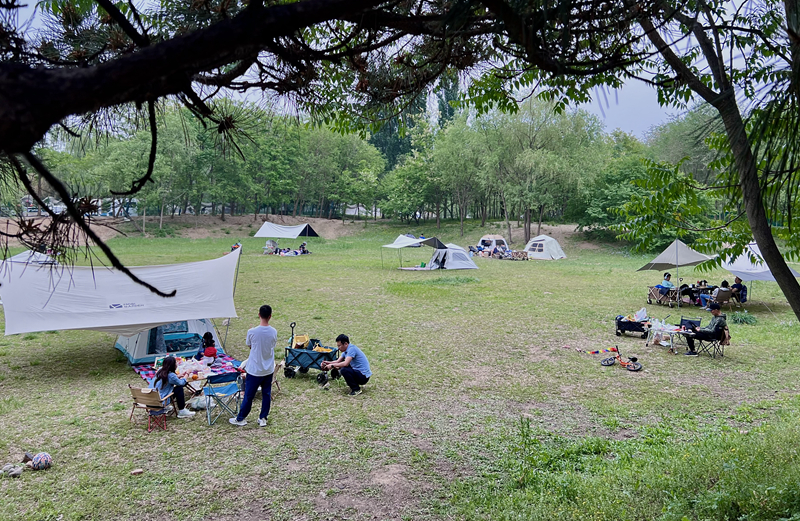 “自駕+露營”等多元模式受熱捧。人民網(wǎng)記者 王連香攝