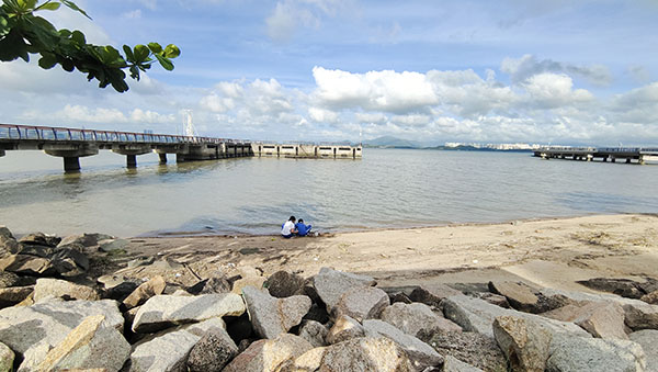 深圳紅樹林灘涂，留給了孩子們親近自然的空間。人民網(wǎng)記者 李彤?dāng)z