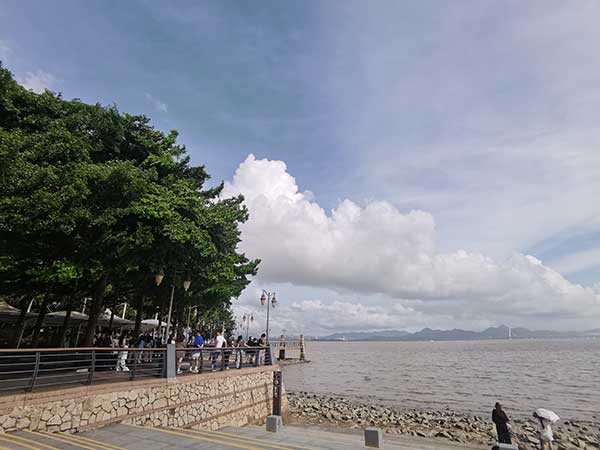 紅樹林灘涂沿線一角。人民網(wǎng)記者 張素玲攝