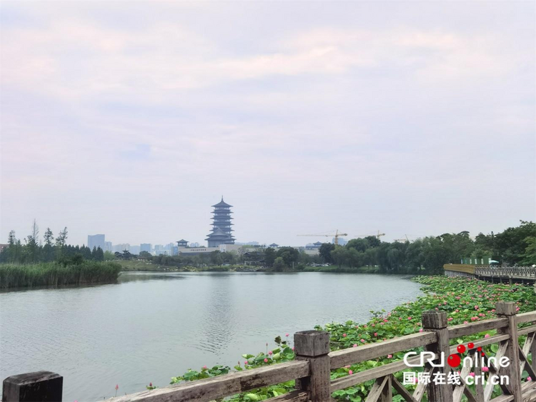 【何以中國 運(yùn)載千秋】運(yùn)河“原”點城市揚(yáng)州 隨運(yùn)河而生依運(yùn)河而興_fororder_圖片10