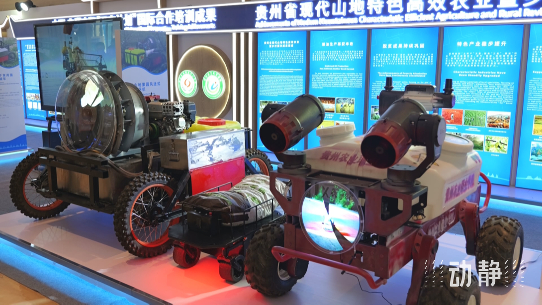展示成果分享經(jīng)驗，中國—東盟教育交流周深化合作共創(chuàng)未來！