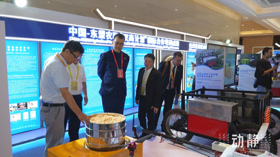 展示成果分享經(jīng)驗，中國—東盟教育交流周深化合作共創(chuàng)未來！