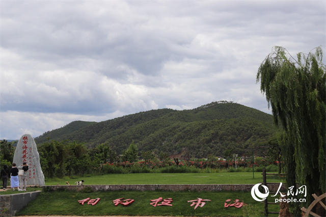 麗江市拉市海景區(qū)。 人民網(wǎng)記者 程浩攝