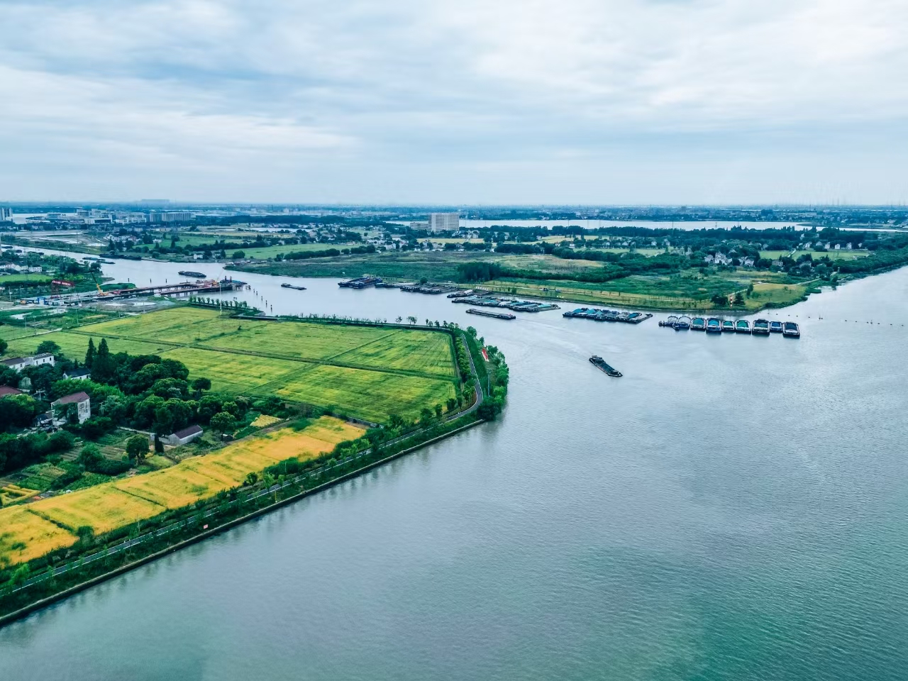 太浦河沿岸好風(fēng)光。吳橫軒攝