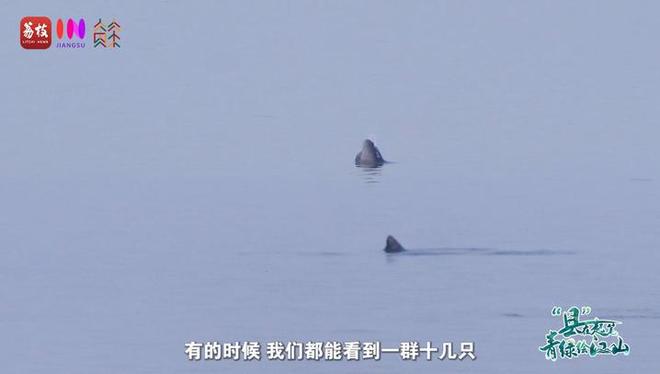 “縣”在起筆 青綠繪江山 | 江灣沐曉：褪去“銹色”走“金線”，繡出生態(tài)與產(chǎn)業(yè)“雙面錦”