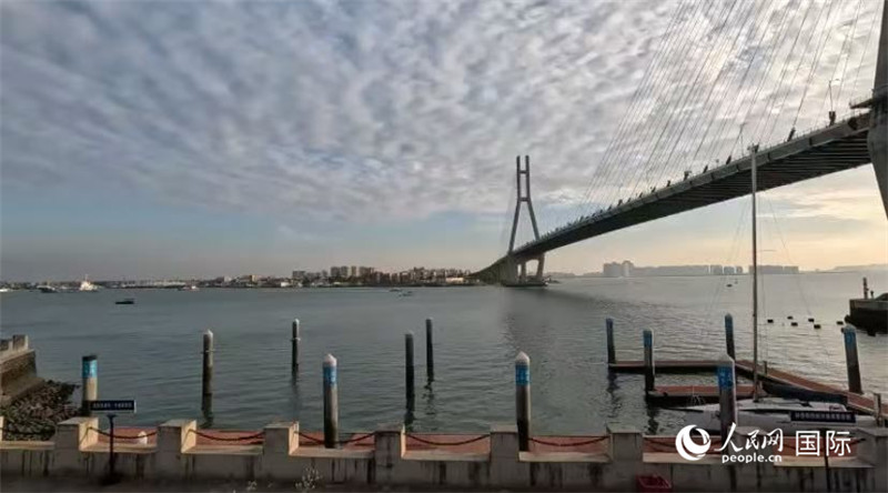 海南省儋州市洋浦大橋。人民網(wǎng) 薩拉·阿芙澤爾攝