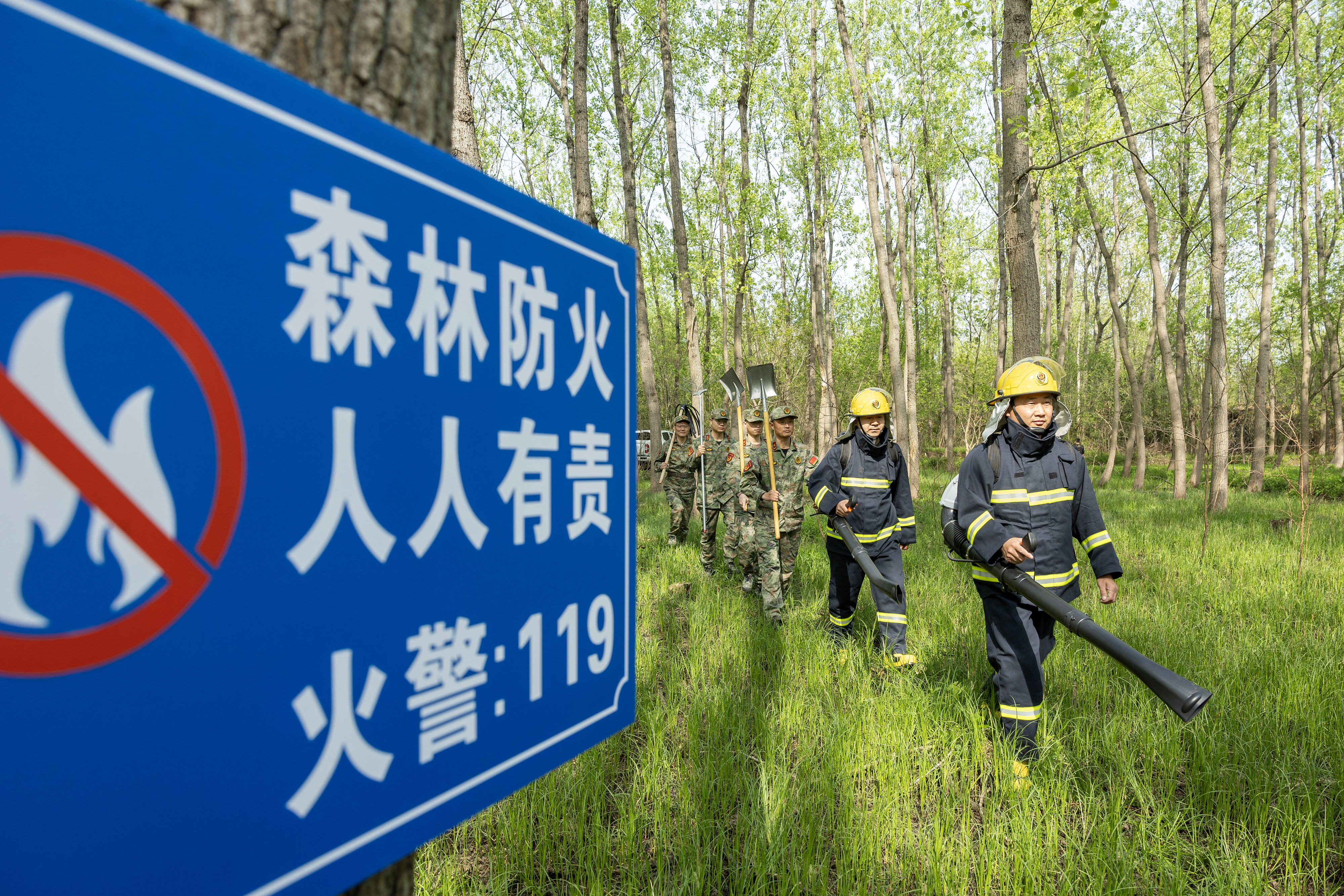 2024年4月9日，合肥市大房郢水庫水源保護地廬陽經(jīng)濟開發(fā)區(qū)段，基干民兵正在林間巡查火災隱患。