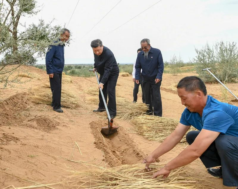2019年8月21日，習近平來到甘肅省武威市古浪縣八步沙林場，實地察看當?shù)刂紊吃炝?、生態(tài)保護等情況。新華社記者 謝環(huán)馳 攝