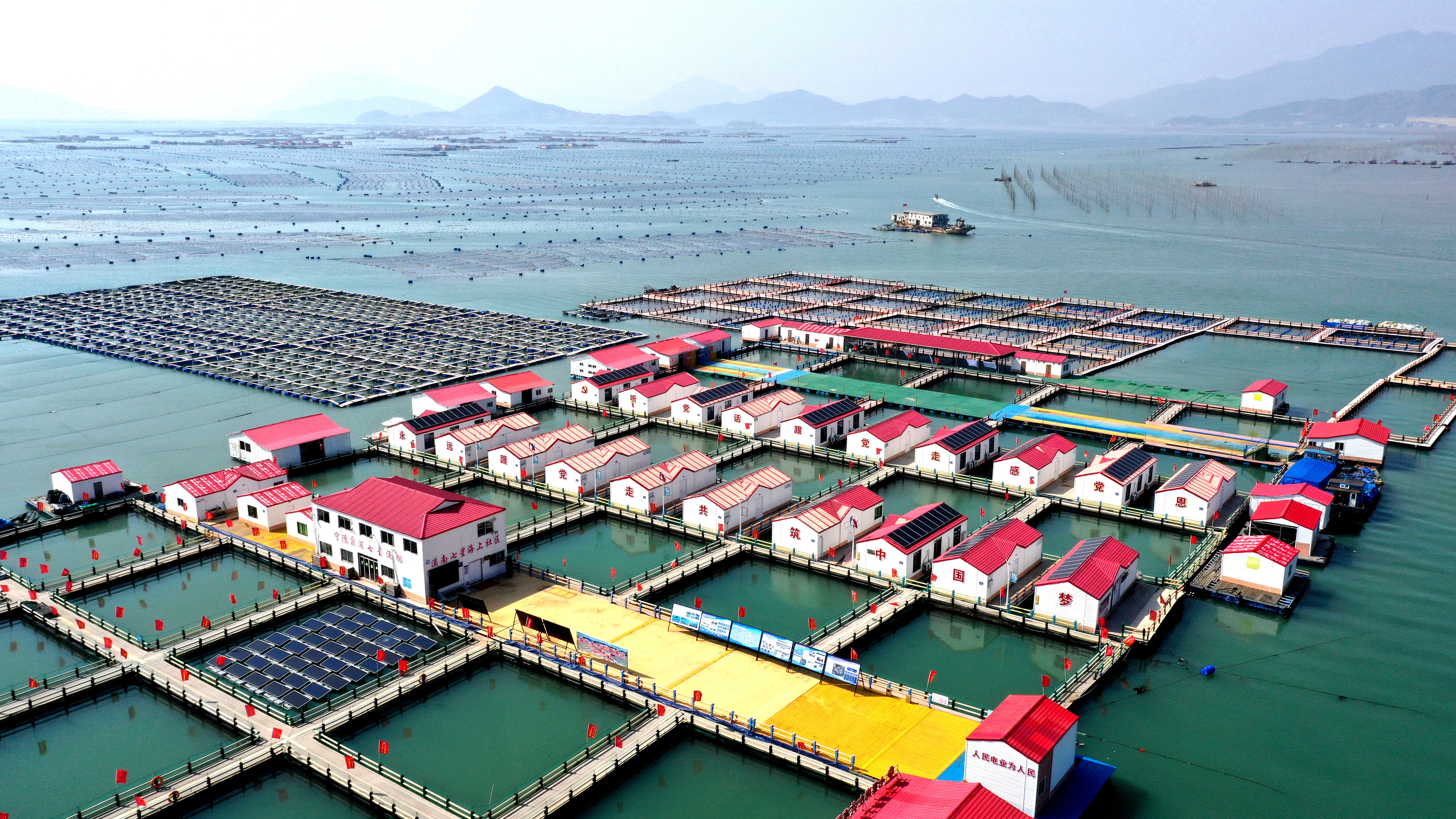 2024年3月20日，福建省寧德市，霞浦縣溪南鎮(zhèn)七星村漁排養(yǎng)殖示范區(qū)，漁民駕駛養(yǎng)殖船進(jìn)行海參養(yǎng)殖作業(yè)。