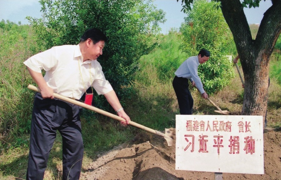 2001年10月，習近平在龍巖市長汀縣調研水土流失治理工作，在河田世紀生態(tài)園為樹培土。圖源：《習近平在福建（下）》