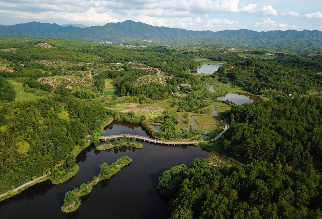 福建省龍巖市長汀縣的長汀汀江國家濕地公園景色（2020年7月28日攝，無人機照片）。新華社記者 魏培全 攝