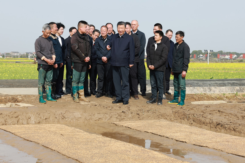 2024年3月18日至21日，中共中央總書記、國(guó)家主席、中央軍委主席習(xí)近平在湖南考察。這是19日下午，習(xí)近平在常德市鼎城區(qū)謝家鋪鎮(zhèn)港中坪村走進(jìn)田間，察看秧苗培育和春耕備耕進(jìn)展。新華社記者 王曄 攝