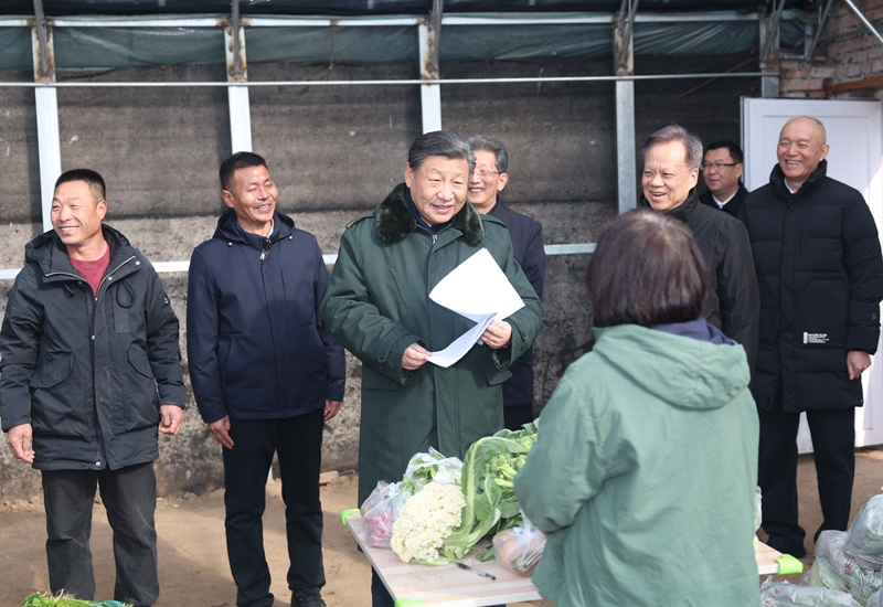 2024年2月1日，習近平總書記在天津市西青區(qū)辛口鎮(zhèn)第六埠村，走進大棚同菜農(nóng)親切交流。