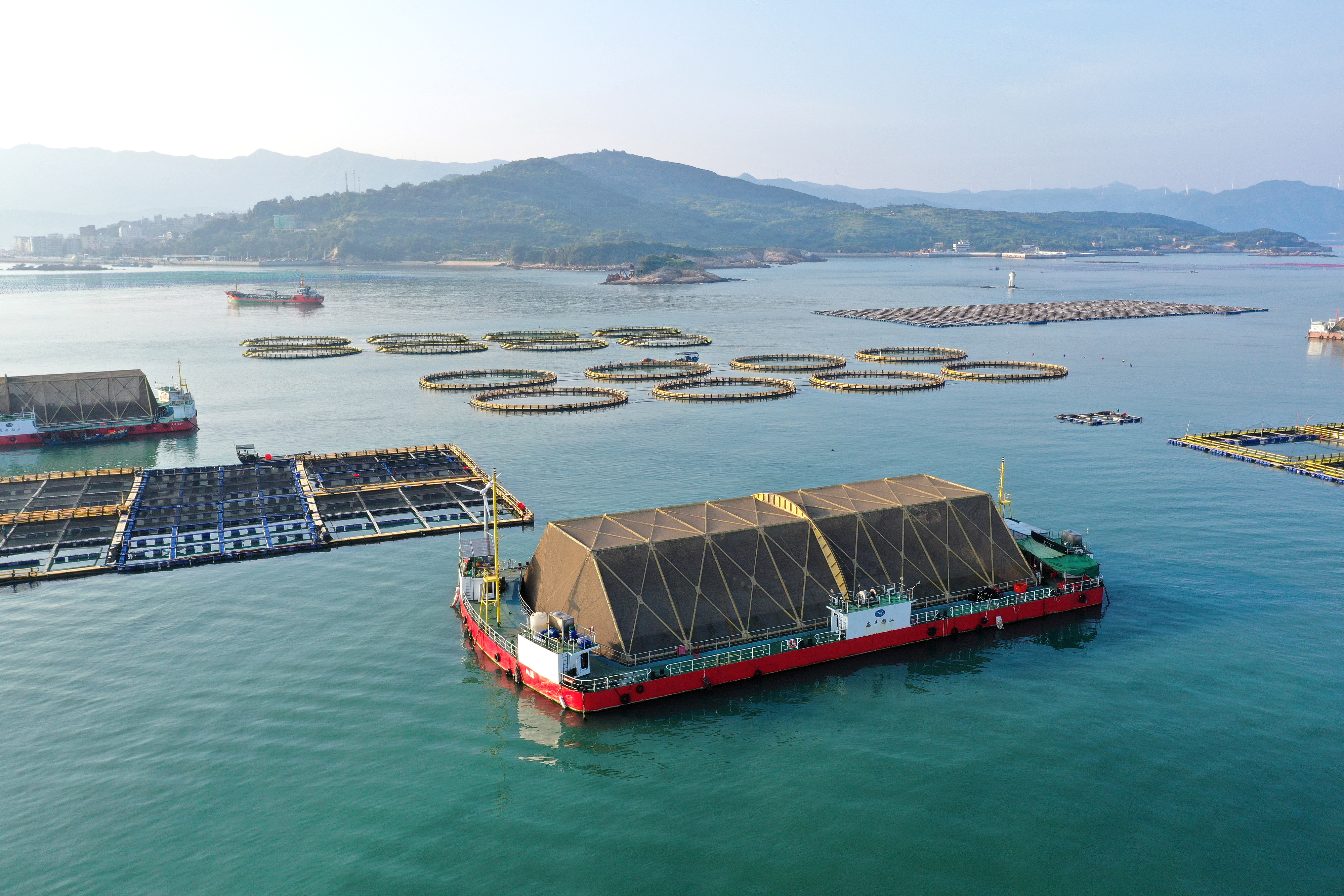 2024年9月10日拍攝的福建省福州市連江縣定海灣海域的現(xiàn)代化“海上糧倉”。