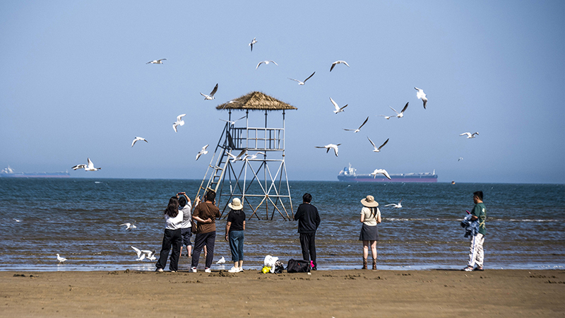 2024年5月12日，河北秦皇島，北戴河鴿子窩公園成群海鷗在天空中自由翱翔，與大海、藍(lán)天構(gòu)成了一幅美麗的畫(huà)卷。