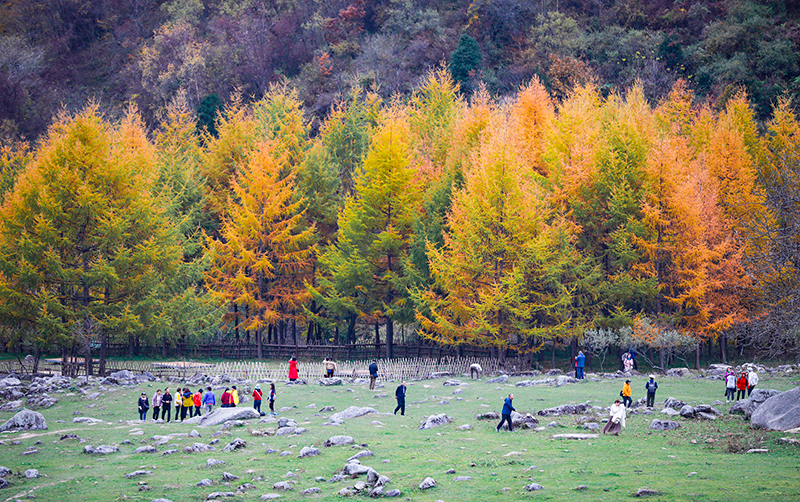 2023年10月27日，深秋時(shí)節(jié)的陜西秦嶺太子嶺漫山紅黃、色彩交織，進(jìn)入最佳觀賞期。