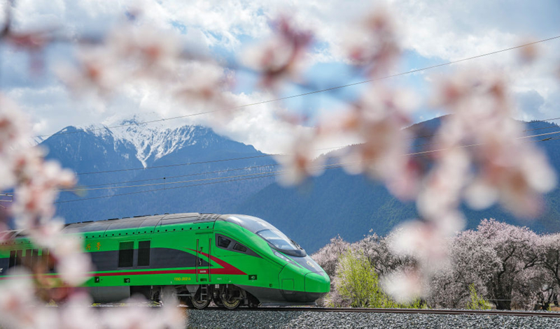 2025年4月2日，復(fù)興號(hào)列車穿行在拉林鐵路林芝段。