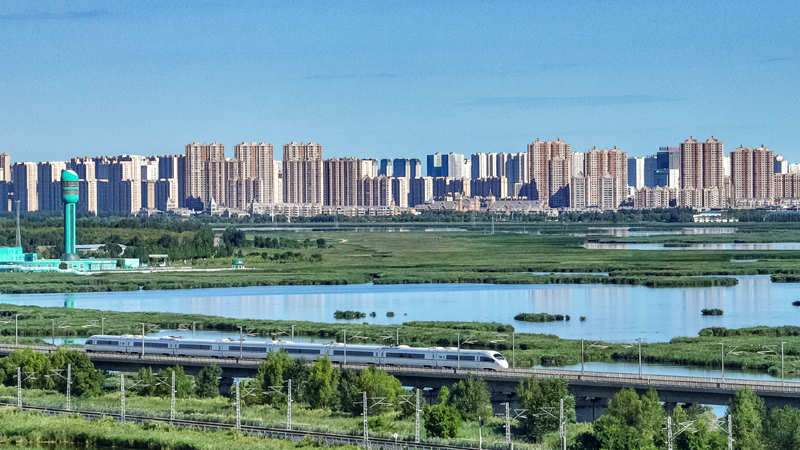 2025年8月17日，一列動車組列車駛過大慶東站。