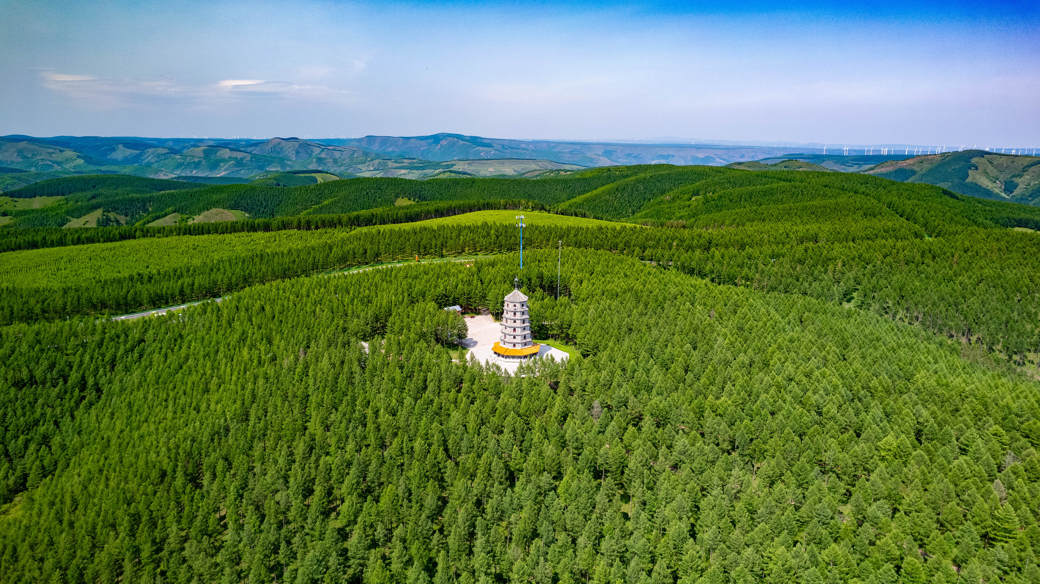 2025年6月11日，河北承德，塞罕壩林海浩渺。