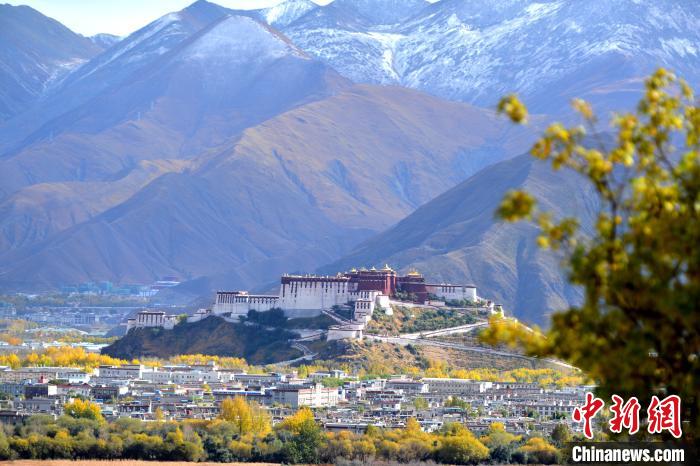 10月24日，雪山、布達(dá)拉宮和秋色組成“風(fēng)景畫”?！〗w波 攝