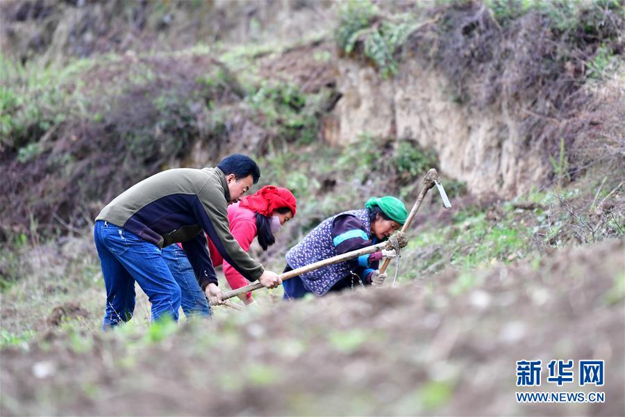 (脫貧攻堅(jiān)·圖片故事)(11)扶貧相冊(cè)——藏族村寨的脫貧“貼心人”