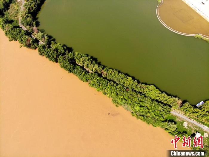 圖為2020年9月3日航拍黃河蘭州段濕地公園現(xiàn)黃河“鴛鴦鍋”。(資料圖) 高瑩 攝
