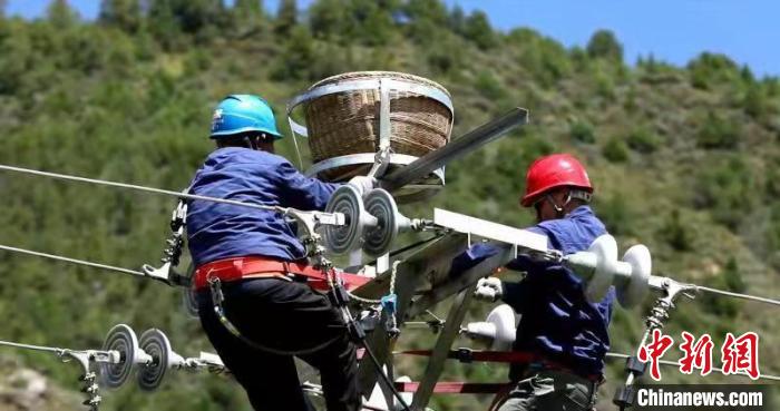 國網(wǎng)青海電力：三江源4000多個(gè)“人工鳥巢”實(shí)行一體化管理
