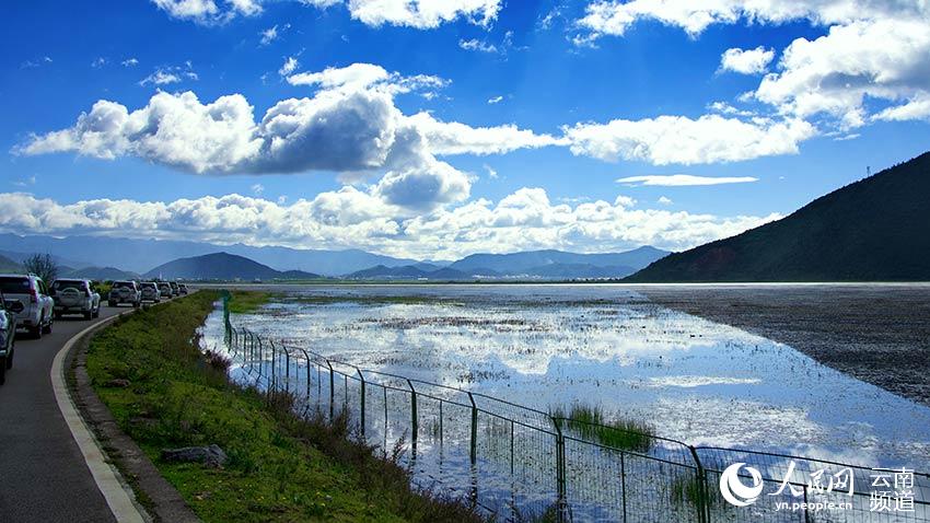 納帕海濕地。呂昊辰攝