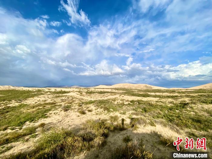 圖為關(guān)停四年后的沙島景區(qū)現(xiàn)狀?！±罱瓕?攝