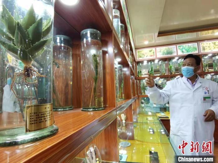 甘肅省甘南藏族自治州碌曲縣藏醫(yī)院副院長看照加近30年的從醫(yī)工作，堅持中藏醫(yī)特色優(yōu)勢相結(jié)合診療方法?！堟?攝