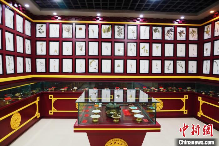 圖為藏藥臘葉標(biāo)本?！●R銘言 攝