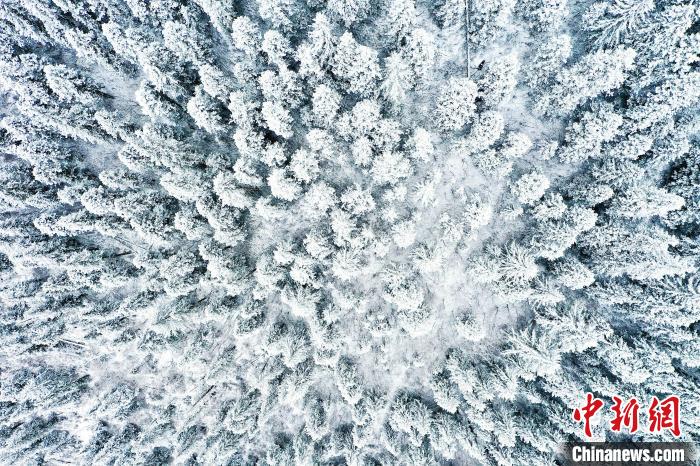壤塘的雪后美景?！∪捞量h融媒體中心供圖