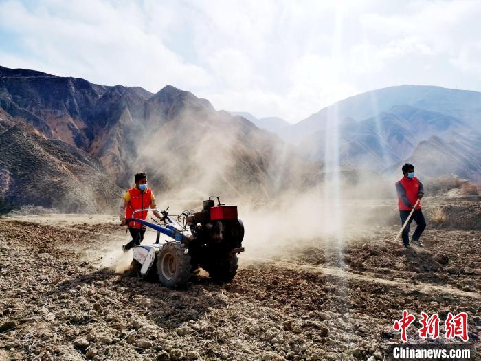 圖為拖拉機(jī)在山地犁地。　張?zhí)砀?攝