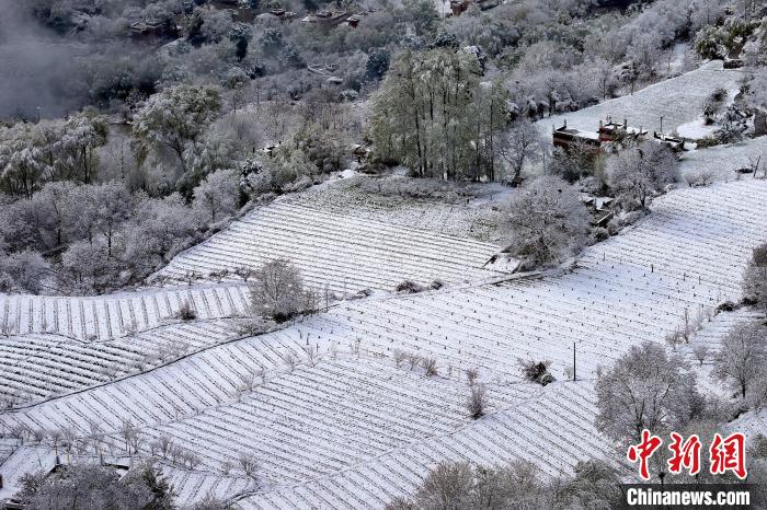 雪后的高山田間如畫?！±钣腊?攝