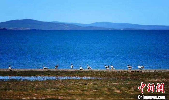 青海果洛建立青藏川滇甘交界生態(tài)環(huán)保協同發(fā)展合作機制