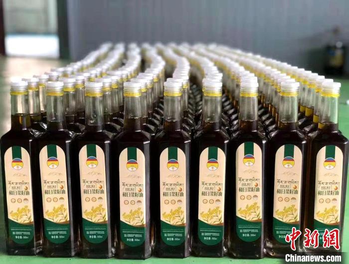 (人民幸福生活)青海高原藏鄉(xiāng):“領頭雁”帶領村集體經(jīng)濟飛躍新天地