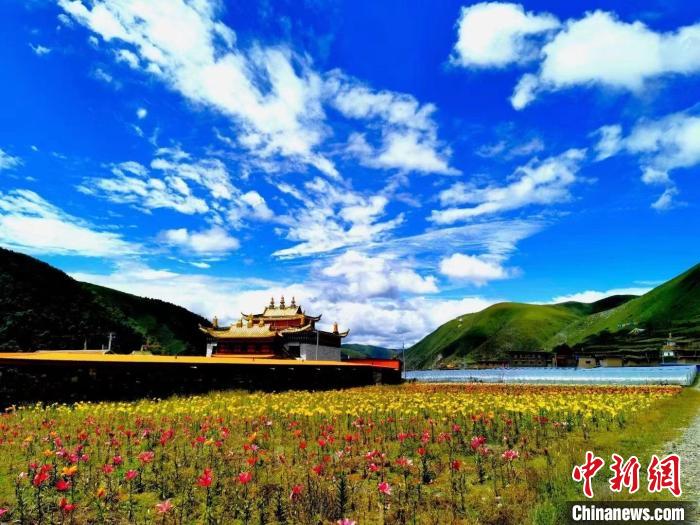 近百畝百合花競相開放，景色誘人?！∪捞量h委宣傳部供圖