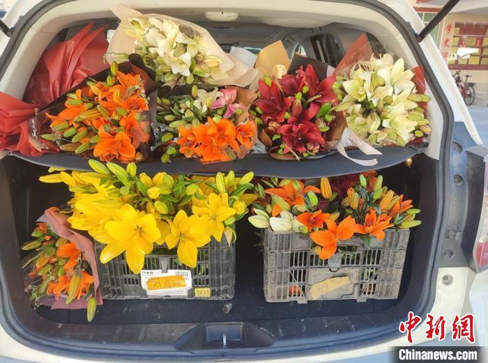剛剛采摘下來的百合花?！∪捞量h委宣傳部供圖